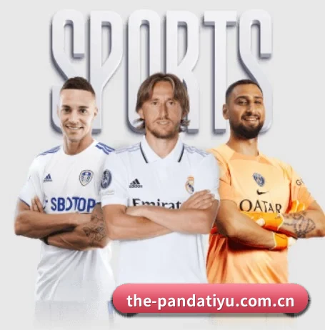 我们在做什么 | PANDA
